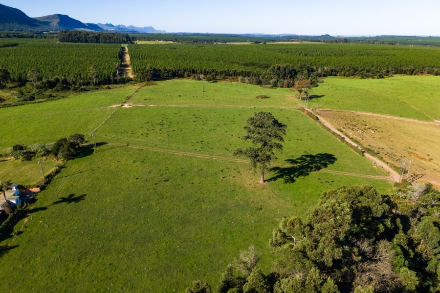 5 Bedroom Property for Sale in Tsitsikamma Eastern Cape